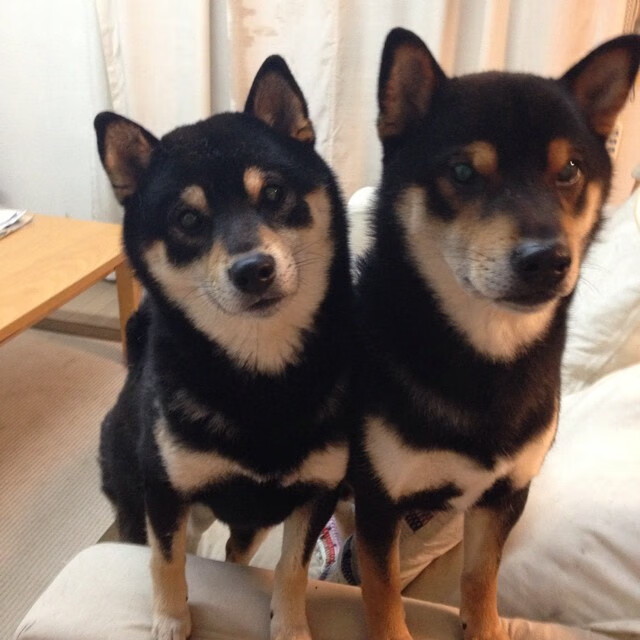 kaiyun开云·官方网站-《Dota 2传奇战队，逆转奇迹震撼全场》，dota2传奇选手第八期