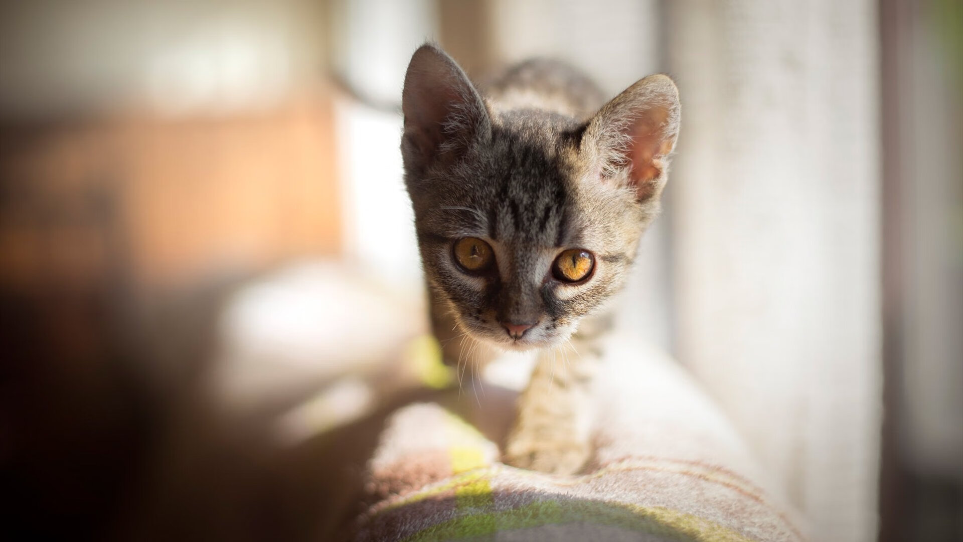 开云体育-【新规带来新玩法】“悬空球”让战术丰富多彩，悬空球怎么放