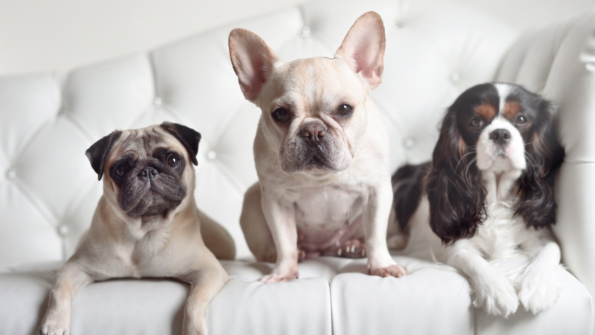 kaiyun官方入口登录-传奇再现：那些令人震撼的比赛逆转，传奇现场出场顺序