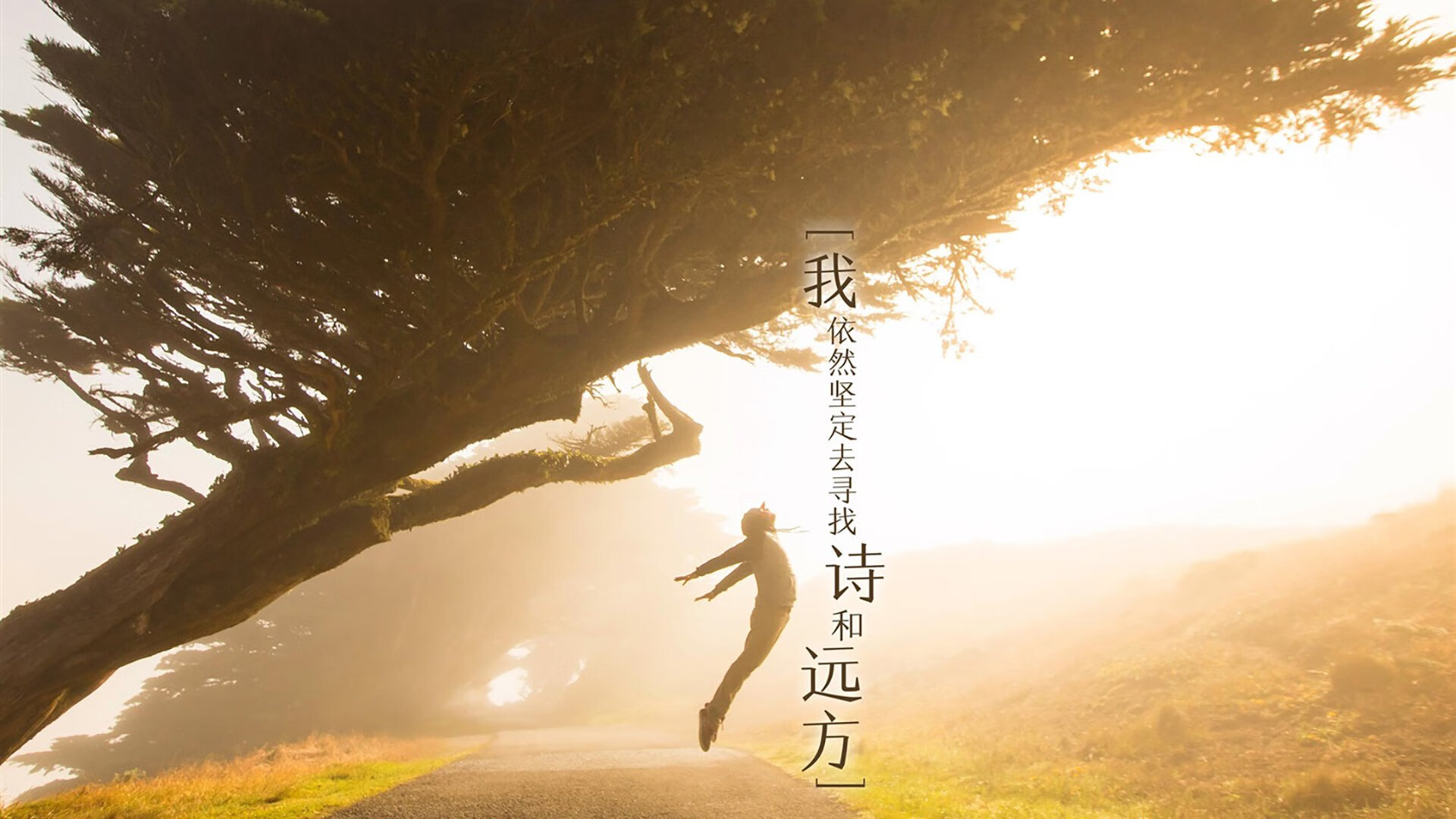 开云·体育官网APP下载-意甲引领欧洲青训潮流，孵化出众多天才青年，意甲参加欧战球队