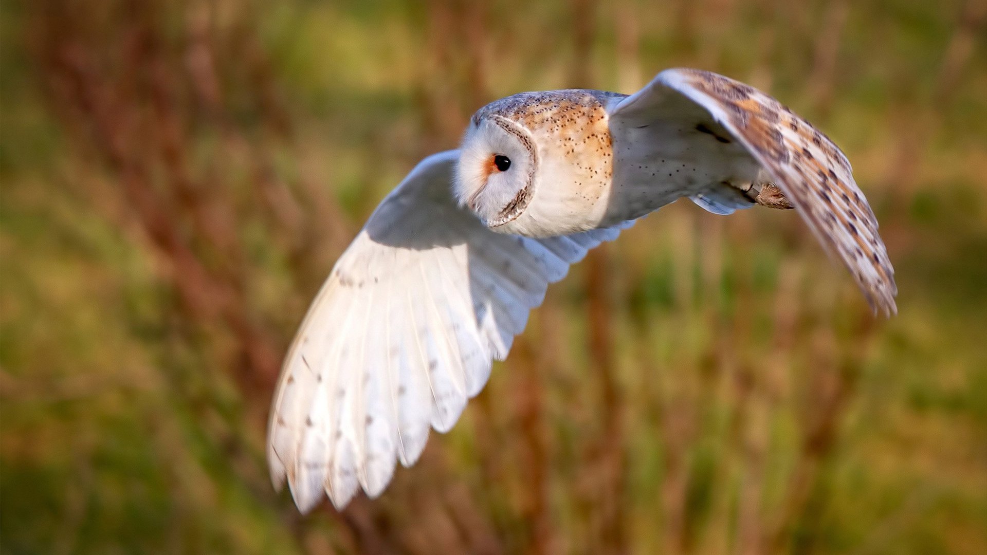 kaiyun网站-上海队在新一轮比赛中展现出惊人实力，上海队队员