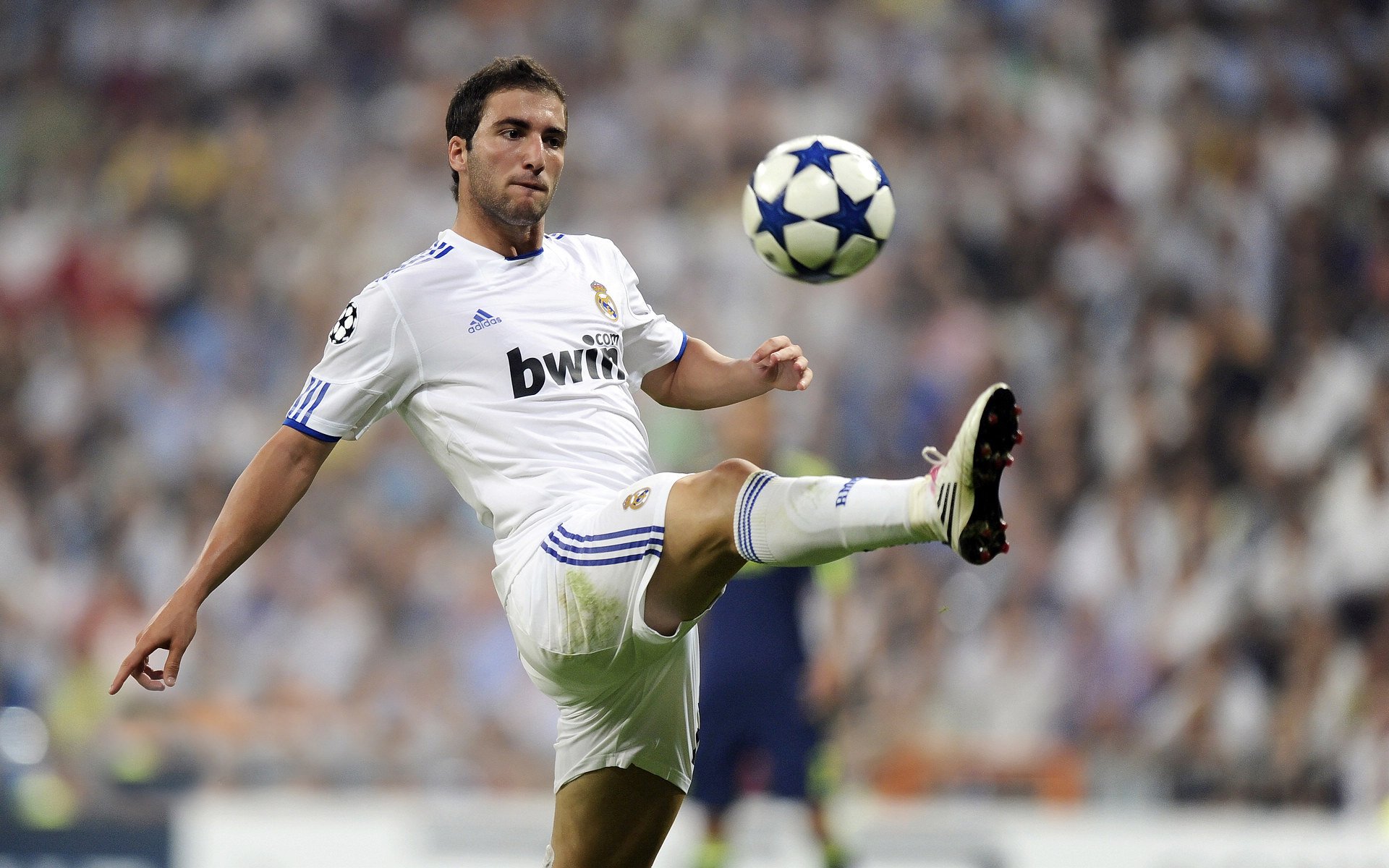 Kaiyun APP-全球女队足球团结一心向冠军进发，女子足球队排名