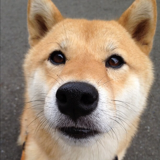 北京国安球队体能提升显著,北京国安足球队