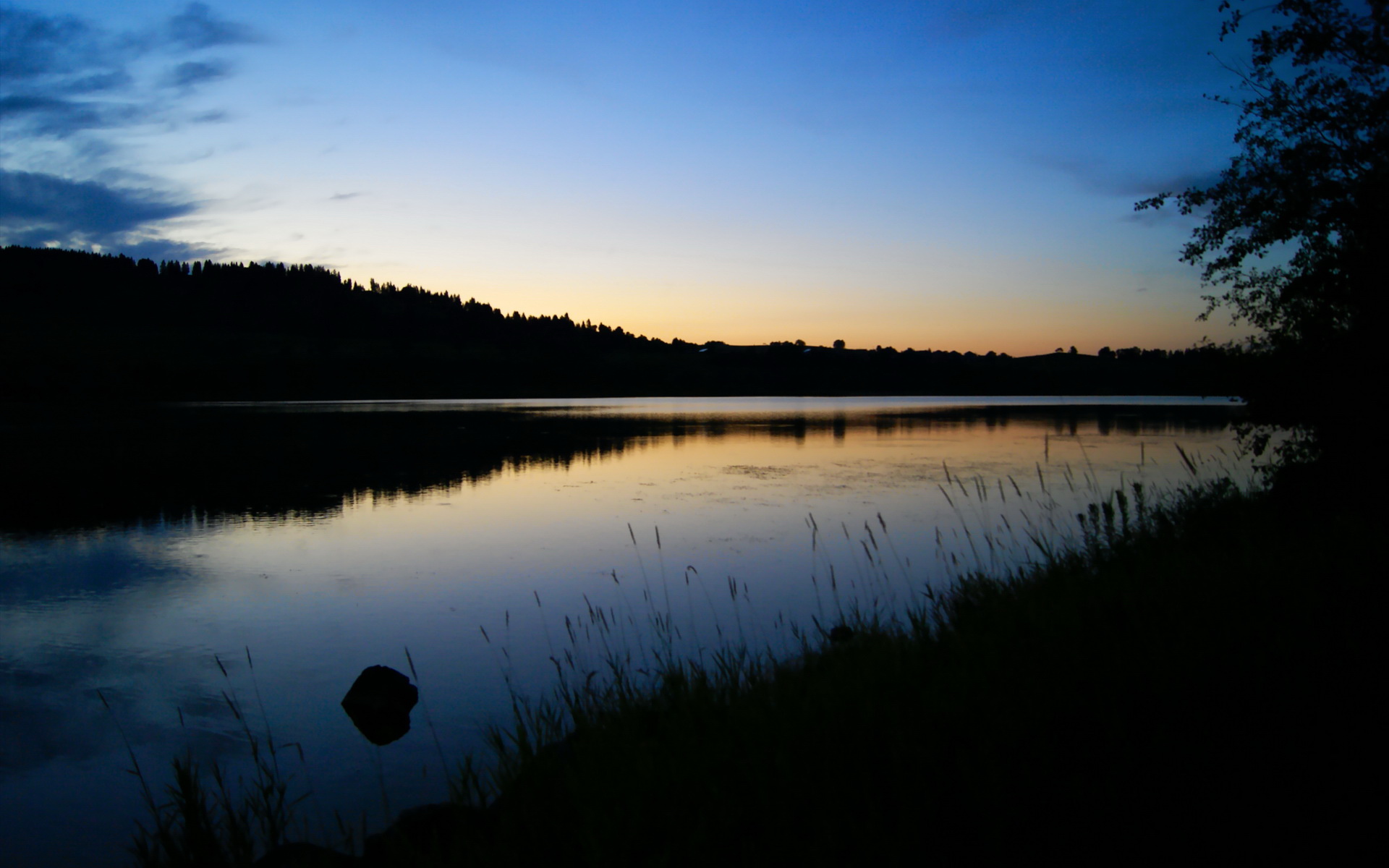 天津队战胜实力强敌,喜上眉梢,天津队厉害吗