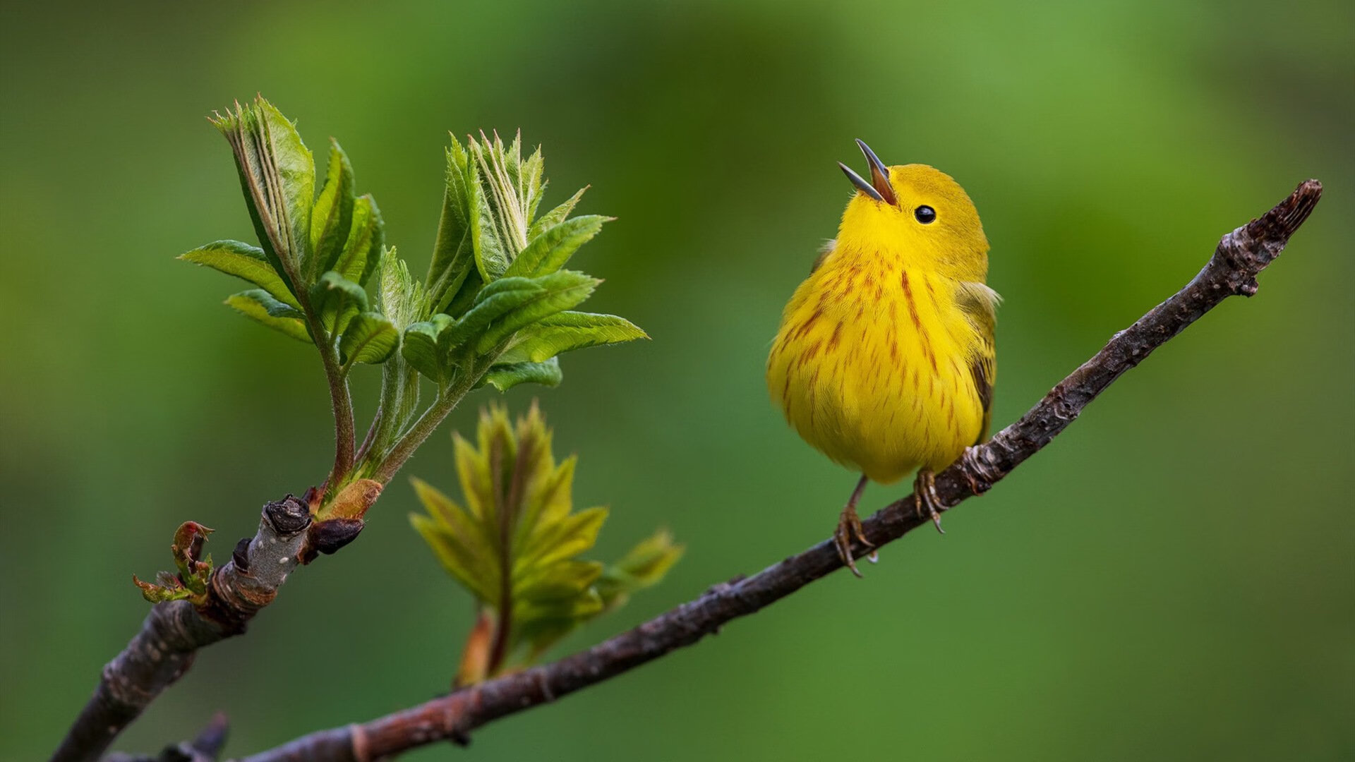 开云官方-多特蒙德足球俱乐部继续保持领先优势，多特蒙德 足球