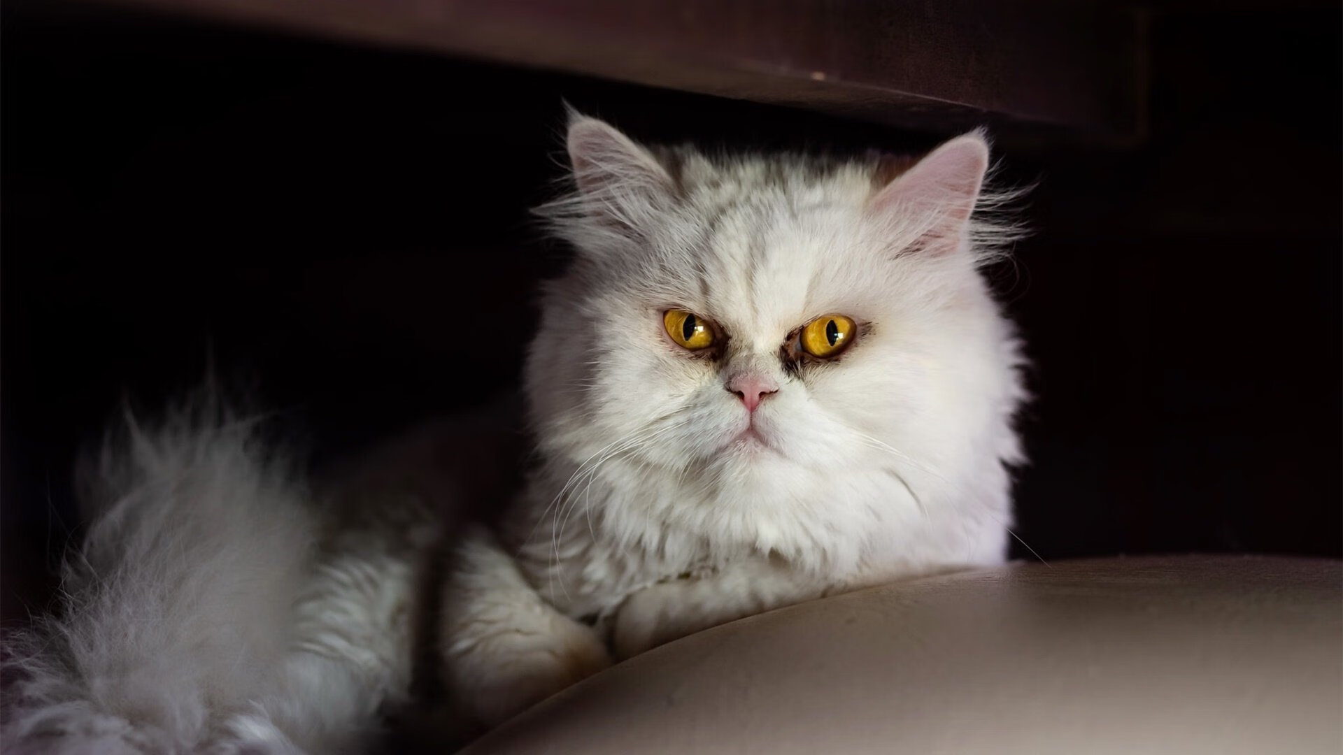 巴萨主场2-0战胜格拉纳达，继续领跑西甲积分榜，巴萨21-22