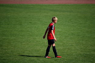 开云网站-NBA球员训练方法创新，nba球员训练视频,篮球技术