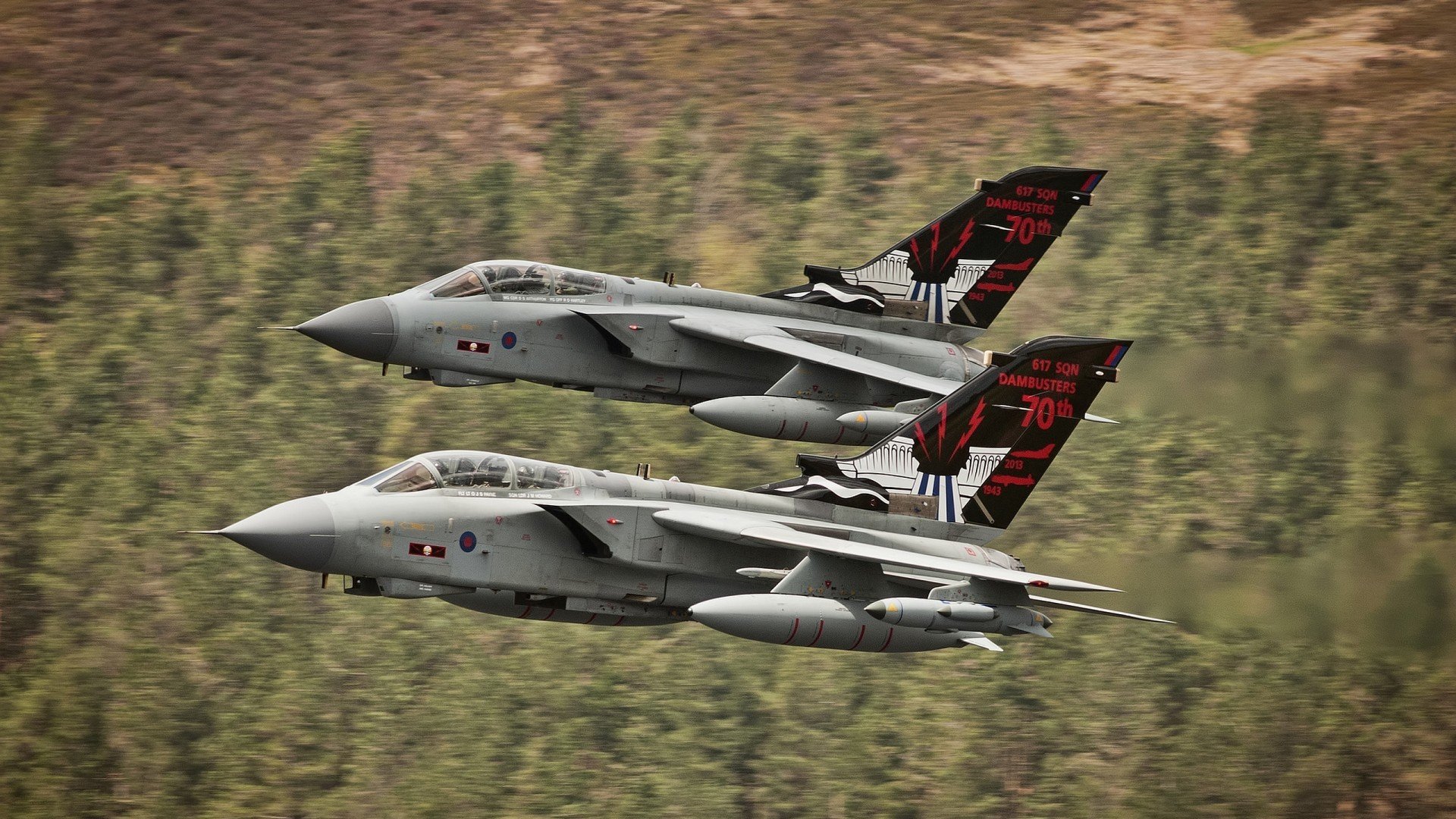 kaiyun官方入口登录-体育场馆应急管理演练，体育场馆突发事件应急预案