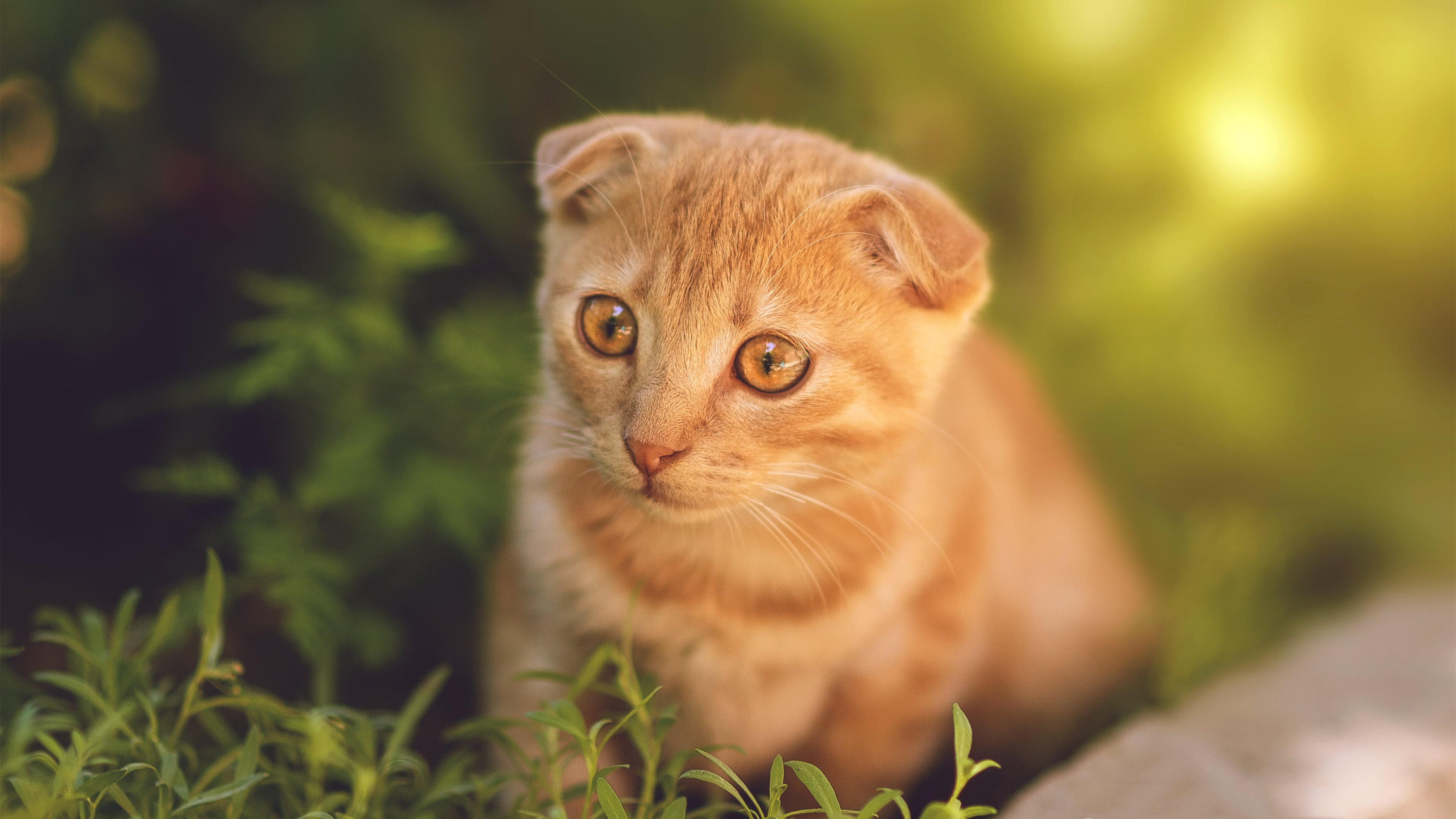 意大利德比:国际米兰对阵尤文,争夺意甲霸主地位,意大利国家德比是国际米兰对阵哪一支球队