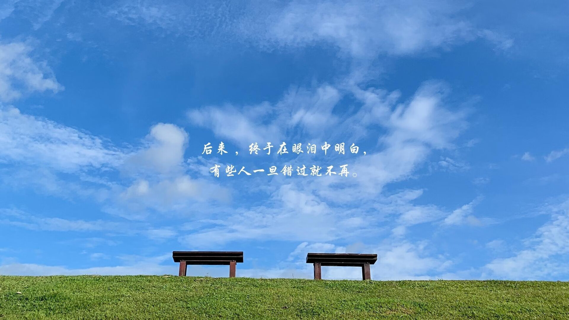 开云网页版-布莱顿高强度逼抢赢得球权主动，布莱顿ds