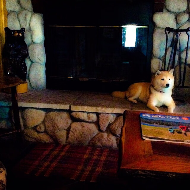 掩护换防节奏中是否容易出现防守漏洞，防守掩护配合有哪四种