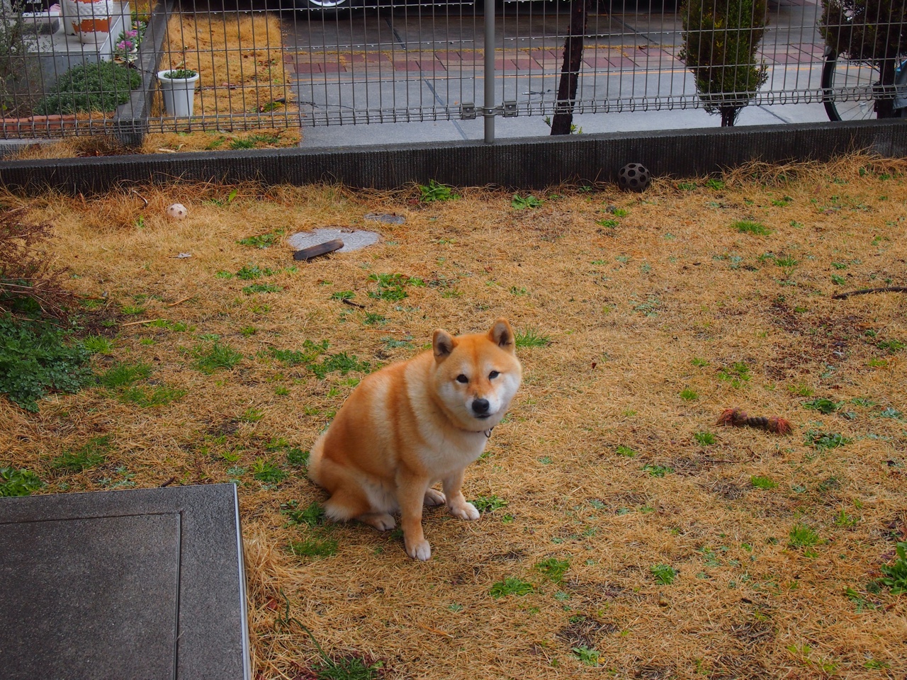 kaiyun.com-76人安排团队心理沙龙增强球员抗压能力，76人组合