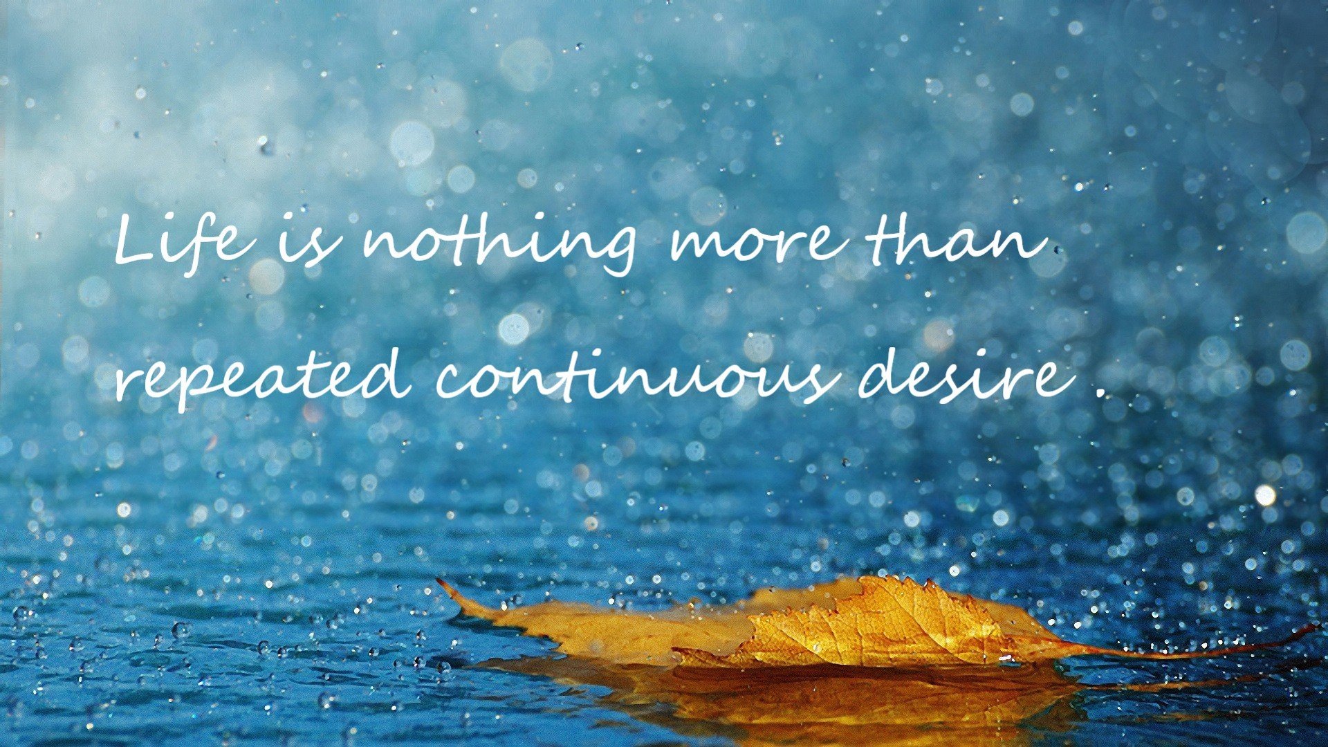 开云中国大陆-女子乒乓球队战术风格多样化发展，女子乒乓团体队员