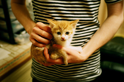 恩多耶-布鲁阿尔精准配速成就胜利关键,多恩布什 圣才