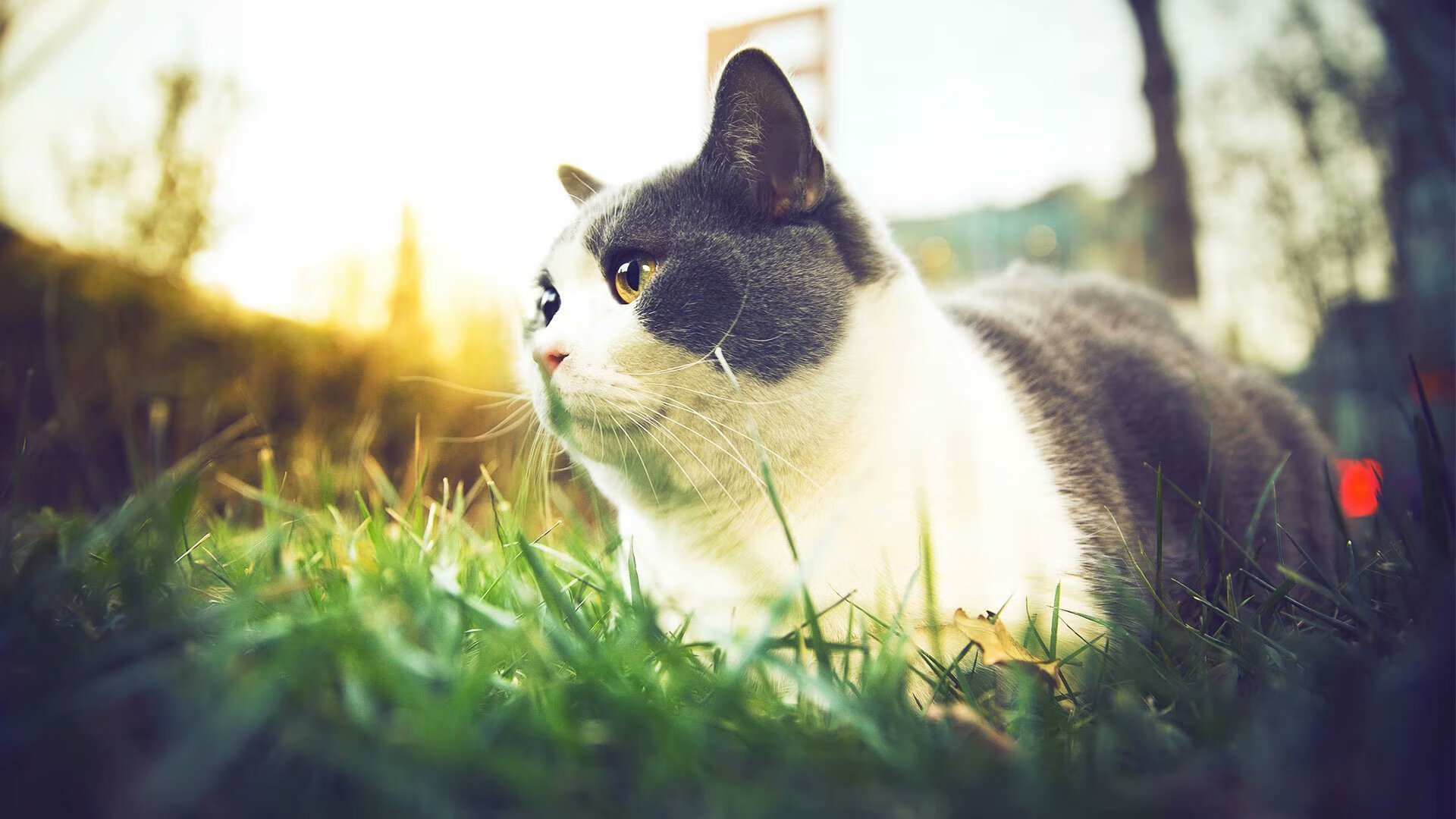 开云kaiyun-热火替补席贡献率高居联盟榜首，热火对员名单