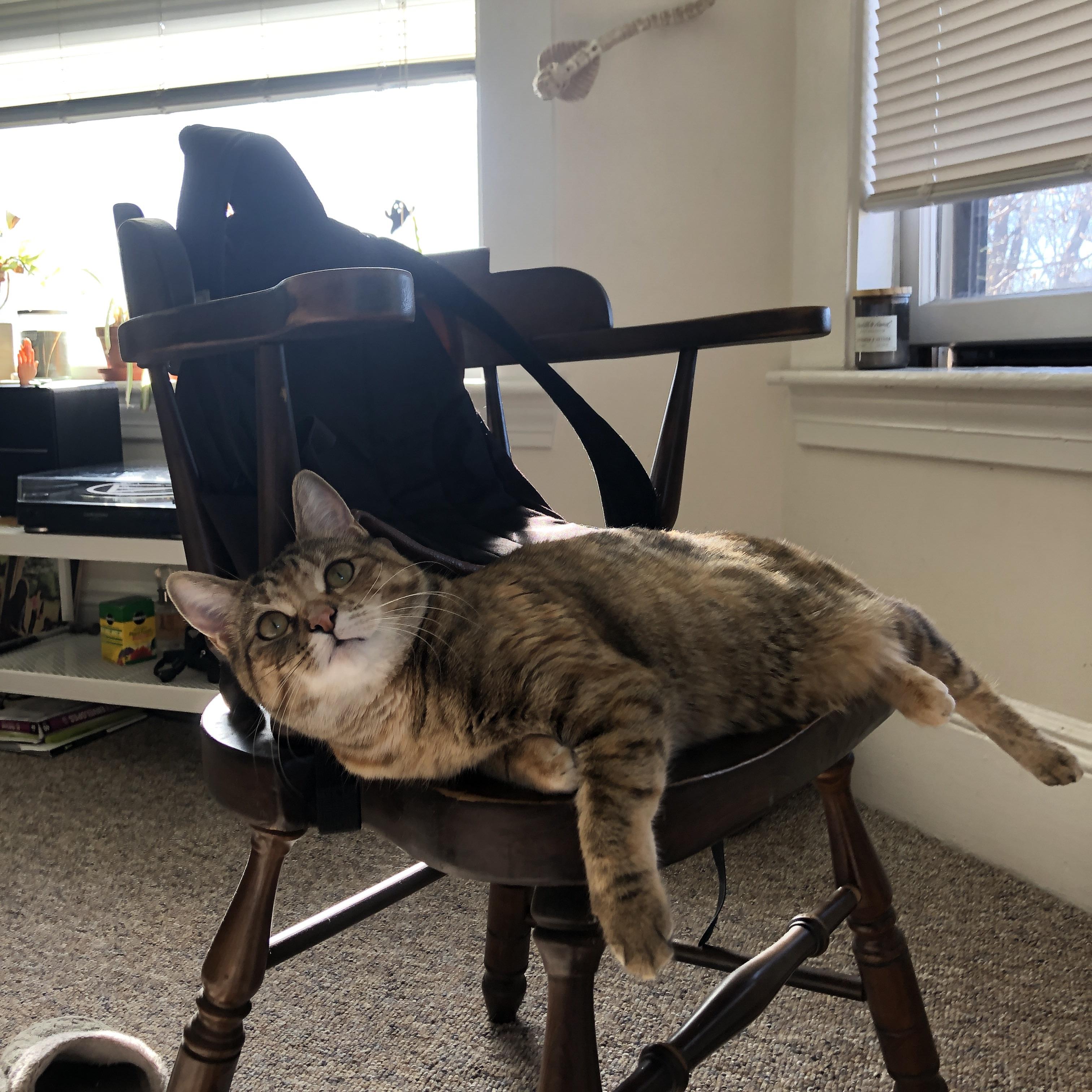 莱昂·马尔尚技术细节解析引关注,豪尔赫·莱昂马丁内斯