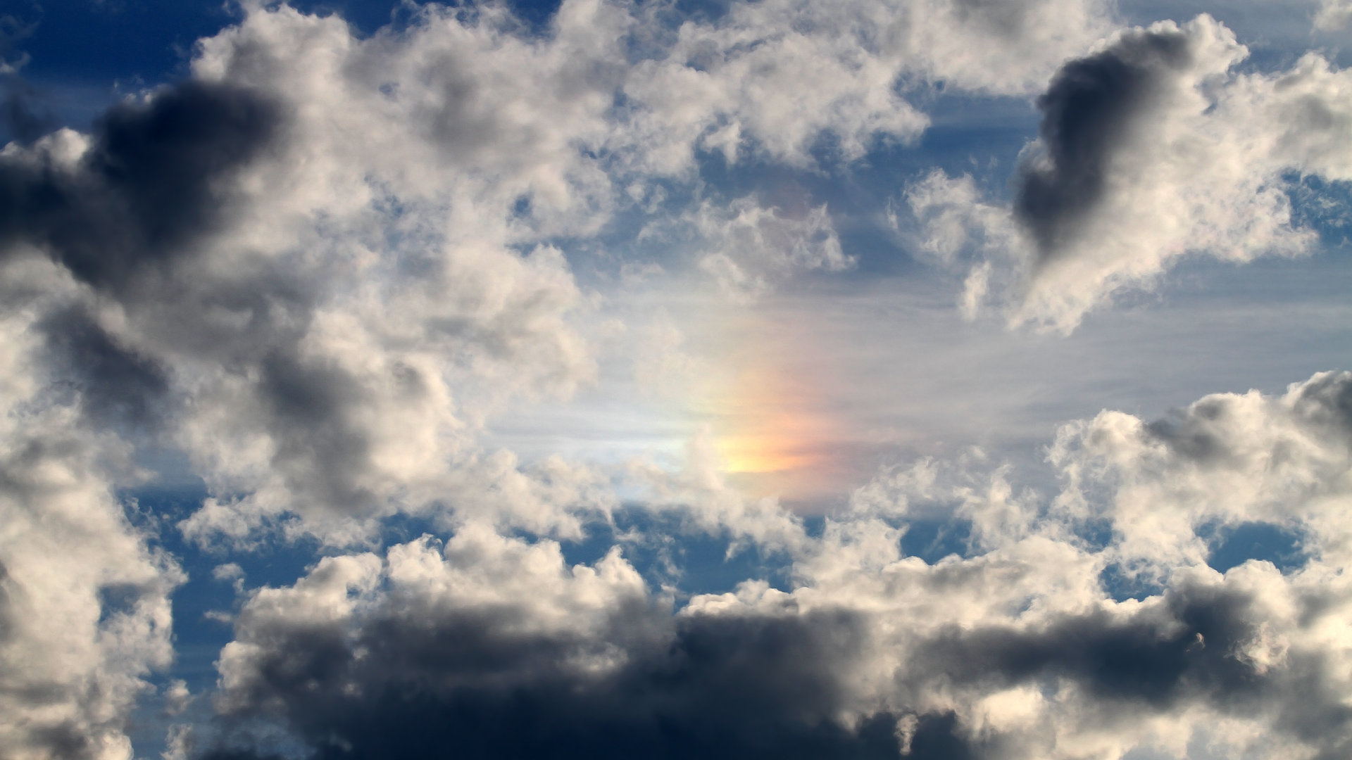 荷兰女将自由泳短程展现爆发力,荷兰游泳奥运冠军